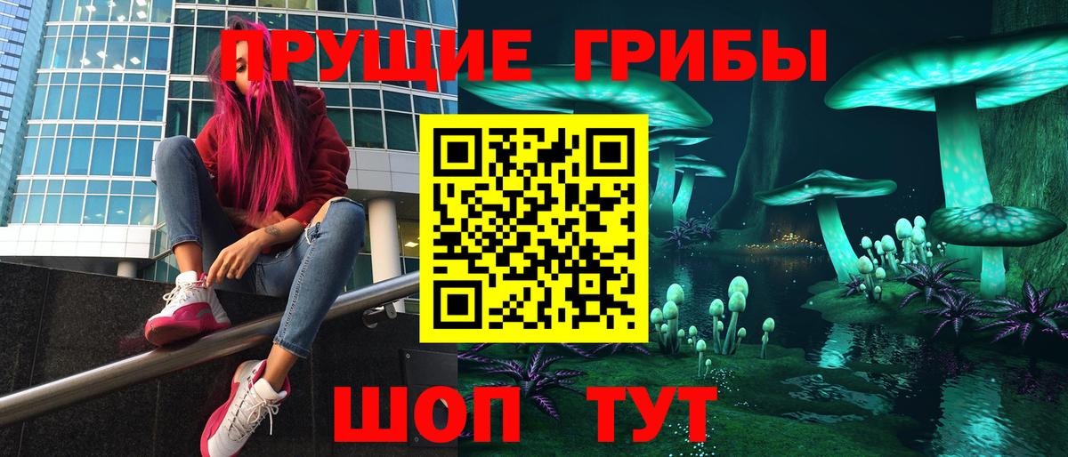 Вятские Поляны  Псилоцибиновые грибы MAGIC MUSHROOMS  Вход с VPN 