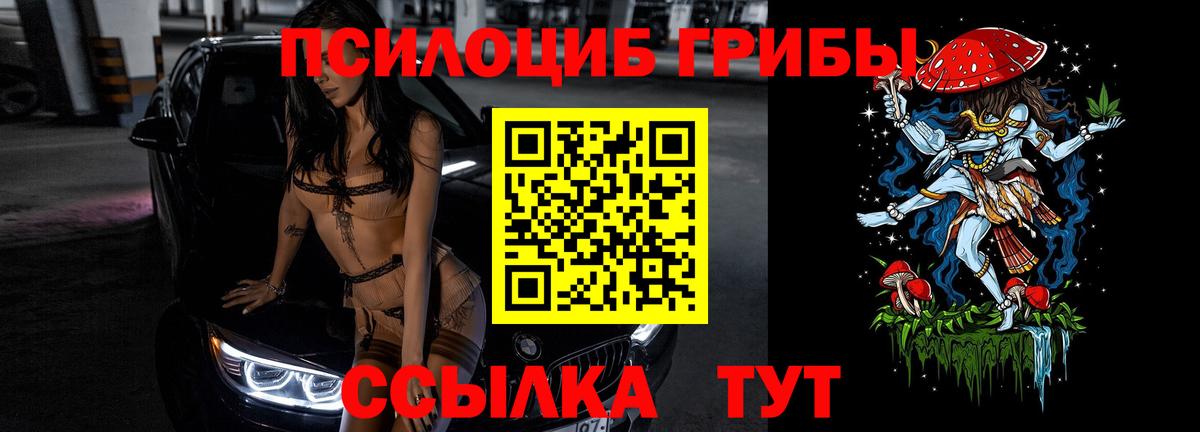 Псилоцибиновые грибы GOLDEN TEACHER Вятские Поляны